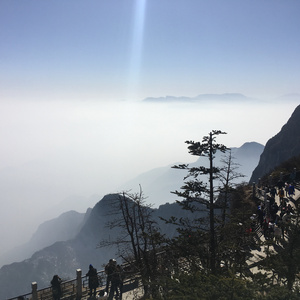 国内粉嫩极品主播在线观看视频
